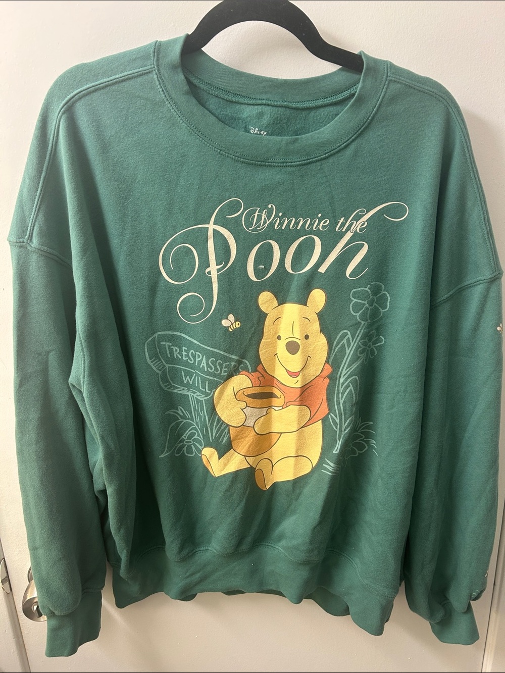 Disney Green Crewneck Sweatshirt with Winnie the Pooh Yellow Graphic